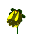 Animations - 492